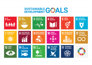 sustainable development goals