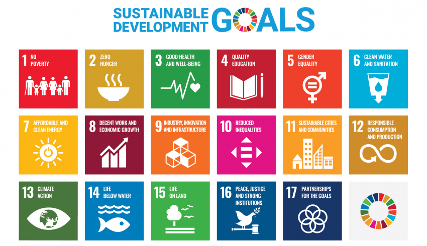 sustainable development goals