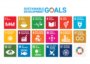 SDG 17 doelen InnoMax